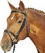 HKM Bridle - Jana - Horse