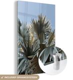 MuchoWow® Glass Painting 120x180 cm - Acrylic Glass Painting - Palm - Leaves - Tropical - Summer - Photo on Glass - Paintings