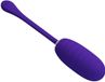 Kirk Egg vibrateur rechargeable violet