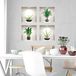 3D-muursticker, Icecat 3D-muursticker, zelfklevend, 3D-effect, palmen, bananen, planten, muurtattoo, slaapkamer, muursticker, 3D-decoratie, woonkamer, muursticker, trompe, oog, 80 x 80 cm