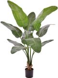 maxifleur Kunstplanten Strelitzia Nicolai deluxe Kunstpalm 145cm in pot