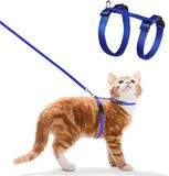 Allecto Plus - Harnais de sécurité réglable en nylon pour petits animaux (Bleu) avec laisse