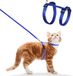 Allecto Plus - Harnais de sécurité réglable en nylon pour petits animaux (Bleu) avec laisse