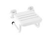 Roca A816962009 Pro-Asiento douche, openklapbaar, verchroomd