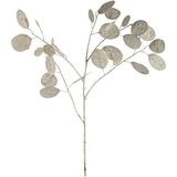 LEONARDO HOME Zilver-dollar-plant Poesia 86 cm wit, 076439, kunststof