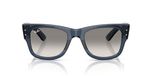 Ray-Ban Zonnebril '0RB0840S' donkerblauw