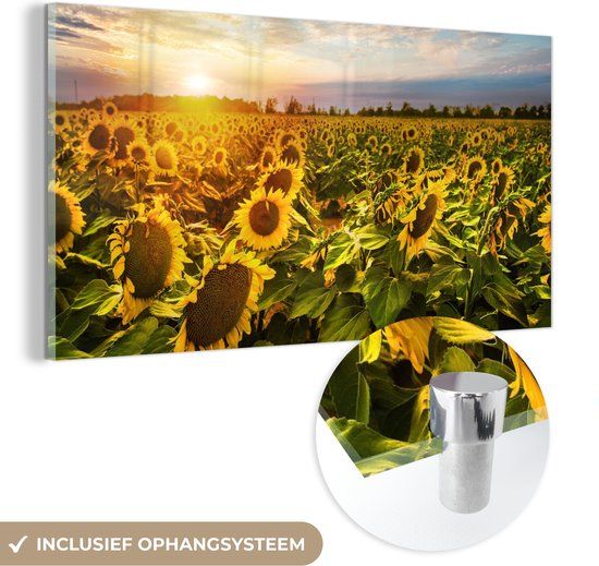 MuchoWow® Glass Painting 80x40 cm - Acrylic Glass Painting - Flowers - Sunflower - Sky - Photo on Glass - Paintings