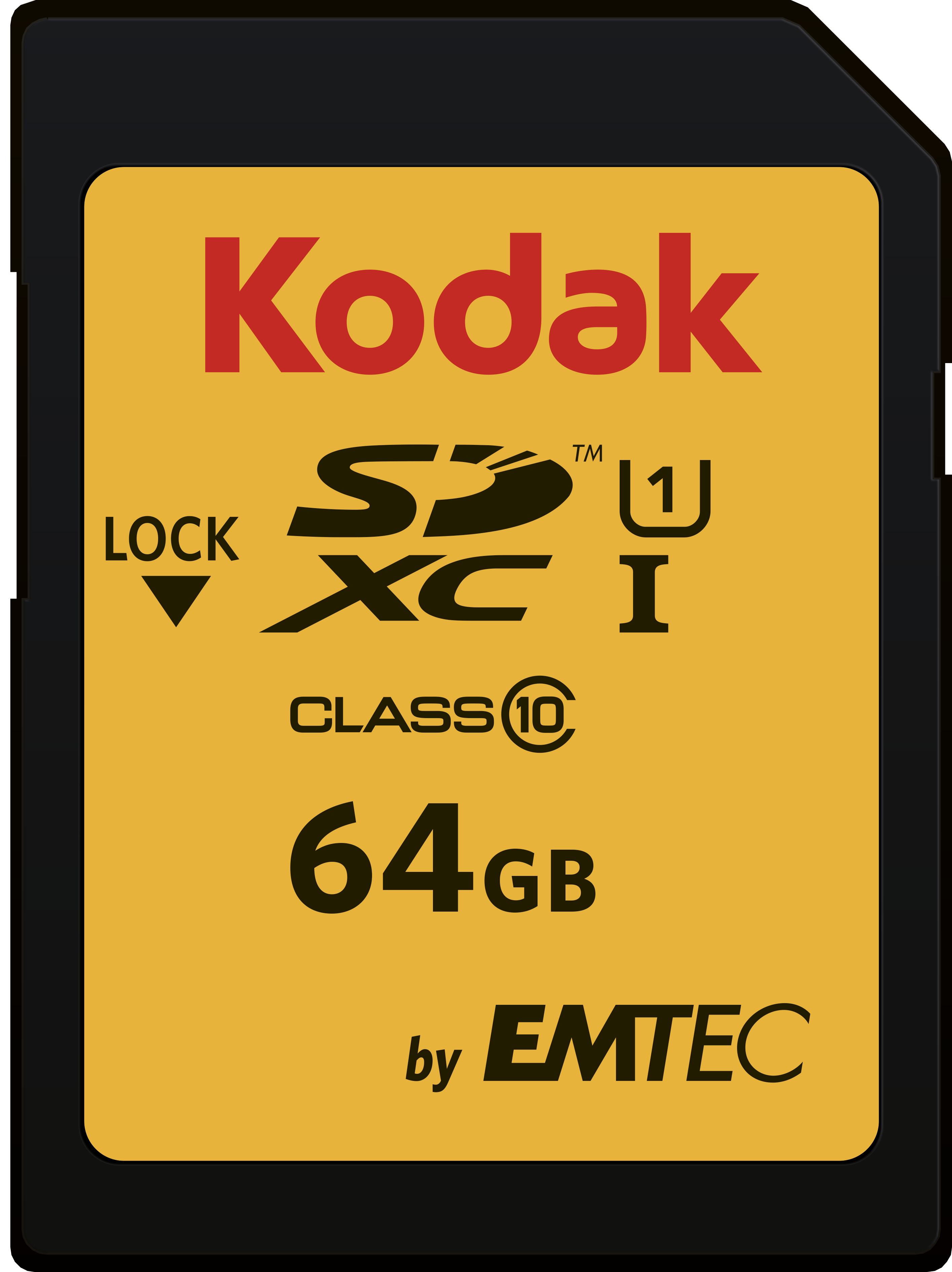 Emtec 64GB SDXC UHS-I Class 10 Zwart