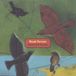 Green Linnet Blackbirds & Thrushes