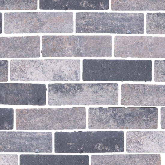 Merkloos Gardenlux Veerse waterpasserende eco bricks geimpregneerd 7x21x8 cm prijs per m2