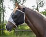 QHP Vliegenkap Solaire zonder oren Grijs - Full