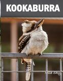 Kookaburra bird: A Coffee Table Photo Book for Animal Lovers
