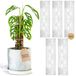THICCLY GrowPole 2.0 Pro-5-delige set, eco-vriendelijke Moss Pole 15,75 maat