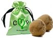 De Groene Cup éponges menstruelles - 2 éponges intimes - tampons 100% éponge de mer naturelle - sans ficelle