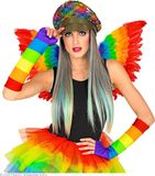 Finidi Regenboog pet met haar