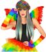 Finidi Regenboog pet met haar