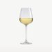 Royal Leerdam Experts Collection Wijnglazen 29 cl / 290 ml | Set van 6 Stuks | Geschikt voor Witte Wijn | Glas | Vaatwasserbestendig