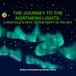 The Journey to the Northern Lights: A Particle's Path to the Party in the Sky