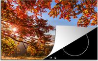 Merkloos KitchenYeah® Inductie beschermer 77x51 cm - Herfst - Boom - Licht - Inductiebeschermer voor Inductie Kookplaat