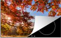 Merkloos KitchenYeah® Inductie beschermer 77x51 cm - Herfst - Boom - Licht - Inductiebeschermer voor Inductie Kookplaat