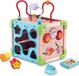 VTech Baby Activiteitencentrum 80-617105 Bruin Multicolour