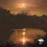 Do Planes Mistaken For Stars Do You Still Love Me? CD