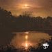 Do Planes Mistaken For Stars Do You Still Love Me? CD