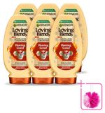 Garnier Loving Blends Honing Goud Conditioner - 6 x 250 ml