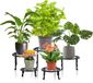 Unyqoos® set de 5 pièces de support de plante en métal
