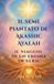 IL Ayalah Il Seme Piantato Di Akashic