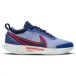 Nike Court Zoom Pro Clay Chaussures de tennis