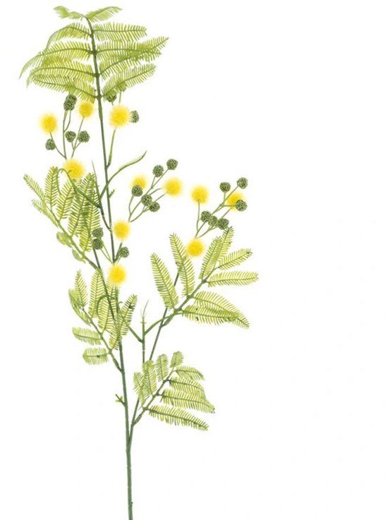 Erutan avon Mimosa spray Alice yellow 91 cm