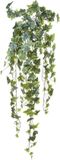 Louis Maes Kunstplant met blaadjes hangplant Klimop/hedera - groen/wit - 105 cm