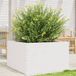 Maison Exclusive Jardinière Blanc, 80x80x45,5 cm, bois massif, pin