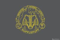 Sihir Dükkani Wizarding World - Harry Potter - Deurmat - Huffelpuf 45x75cm