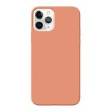 Fresnour iPhone 11 Pro 5,8-inch case, bumper cover, transparant, krasbestendige achterkant (Begonia Color)