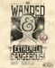 Fantastic Beasts Extremely Dangerous Poster 40x50cm