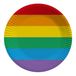 Merkloos / Sans marque Regenboog thema feestbordjes - D23 cm - 10x stuks - Papieren wegwerp servies - Tafel versiering