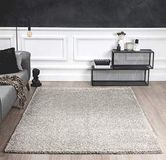 Mia's Teppiche Shaggy woonkamer tapijt, hoogpolig 35 mm, 100% polypropyleen, grijs, 120x160 cm