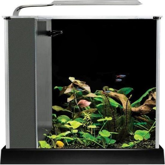 Fluval Spec III Nano Aquarium - 10L - Zwart