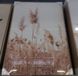Noach Outdoor Lesli Living Canvas Field Multi colour Canvas Voor binnen Bloemen en Planten