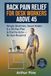 Back Icecat Back Pain Relief for Desk Workers Above 45