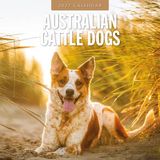 Red Robin Australian Cattle Dog Kalender 2027 Wandkalender