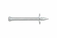Index FPCL3212 standaard spijkers, met kunststof schijf, 3,8 x 32 cm, Waher 12