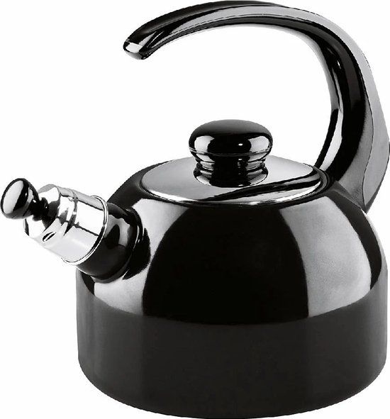 Riess Fluitketel 2L Zwart