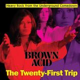 Brown Various Artists - Brown Acid: The Twenty-First Trip (LP) (Coloured Vinyl)