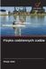 Fizyka OmniScriptum SRL Fizyka codziennych cudów Paperback