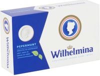 Wilhelmina Fortuin Wilhelmina Pepermunt Vegan - 12 x 100 g