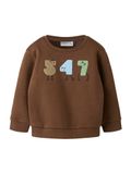 NAME IT Sweatshirt 'NMMOLAV' lichtblauw / bruin / lichtgroen
