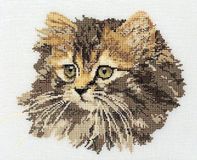 Thea Gouverneur Borduurpakket 930A Langharige Bruine Kat Aida 30x40cm